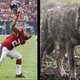 Photo Credits: Bob Levey/Getty and Matt Cardy/Getty
